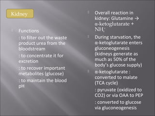 Kidney                             Overall reaction in
                                    kidney: Glutamine →
                                    α-ketoglutarate +
   Functions                       NH4+
    : to filter out the waste      During starvation, the
    product urea from the           α-ketoglutarate enters
    bloodstream                     gluconeogenesis
    : to concentrate it for         (kidneys generate as
    excretion                       much as 50% of the
                                    body’s glucose supply)
    : to recover important
    metabolites (glucose)
                                   α-ketoglutarate :
                                    converted to malate
    : to maintain the blood         (TCA cycle)
    pH
                                    : pyruvate (oxidized to
                                    CO2) or via OAA to PEP
                                    : converted to glucose
                                    via gluconeogenesis
 