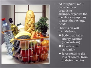    At this point, we’ll
    consider how
    organisms
    arrange/organize the
    metabolic symphony
    to meet their energy
    needs.
   Discussion will
    include how:
     Body maintains
       energy balance
       (homeostasis)
     It deals with
       starvation
     It responds to the
       loss of control from
       diabetes mellitus
 
