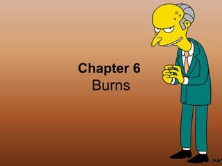 Chapter 6
Burns
 
