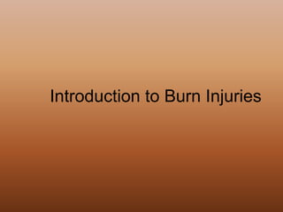 BURNS | PPTX