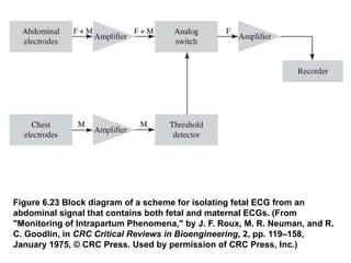 Figure 6.23 Block diagram of a scheme for isolating fetal ECG from an
abdominal signal that contains both fetal and maternal ECGs. (From
"Monitoring of Intrapartum Phenomena," by J. F. Roux, M. R. Neuman, and R.
C. Goodlin, in CRC Critical Reviews in Bioengineering, 2, pp. 119–158,
January 1975, © CRC Press. Used by permission of CRC Press, Inc.)
 