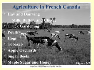 Figure 7-7 Agriculture in French Canada Hay and Dairying Milk, Butter, and Cheese Truck Gardening Poultry  Hogs Tobacco Apple Orchards Sugar Beets  Maple Sugar and Honey 