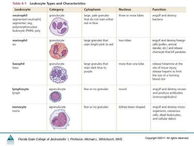 free advances in