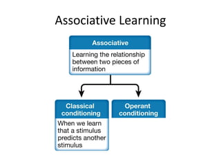 Ch06 Learning | PDF