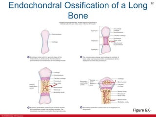 Ch06 lecture ppt_a | PPTX
