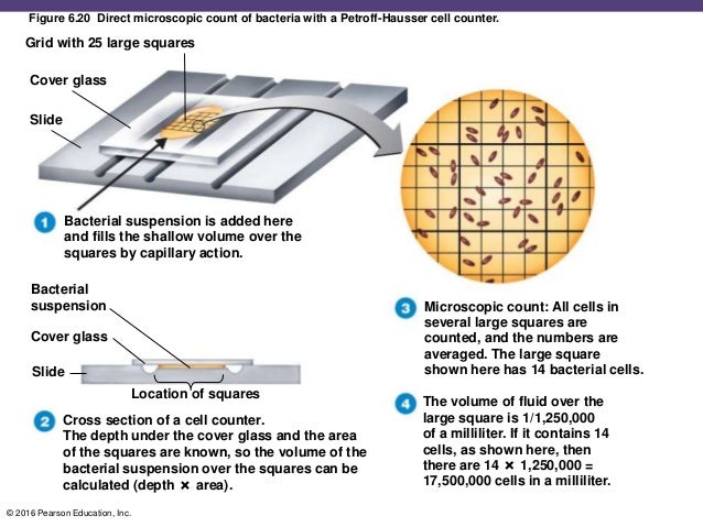 Ch 06_lecture_presentation