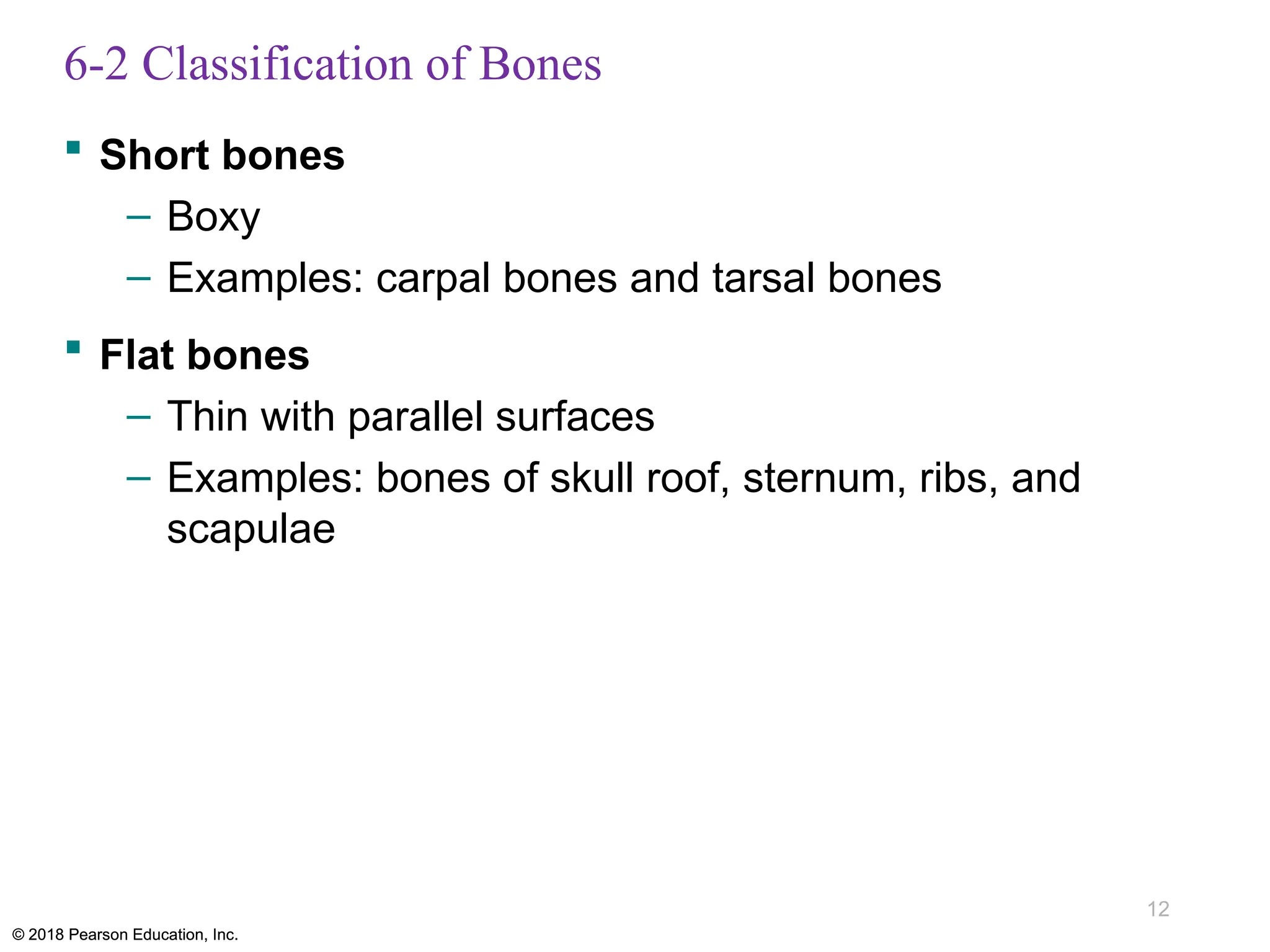 Parallel Medium Bone ch_06_lecture_presentation Bones dan Structure Bone.pptx