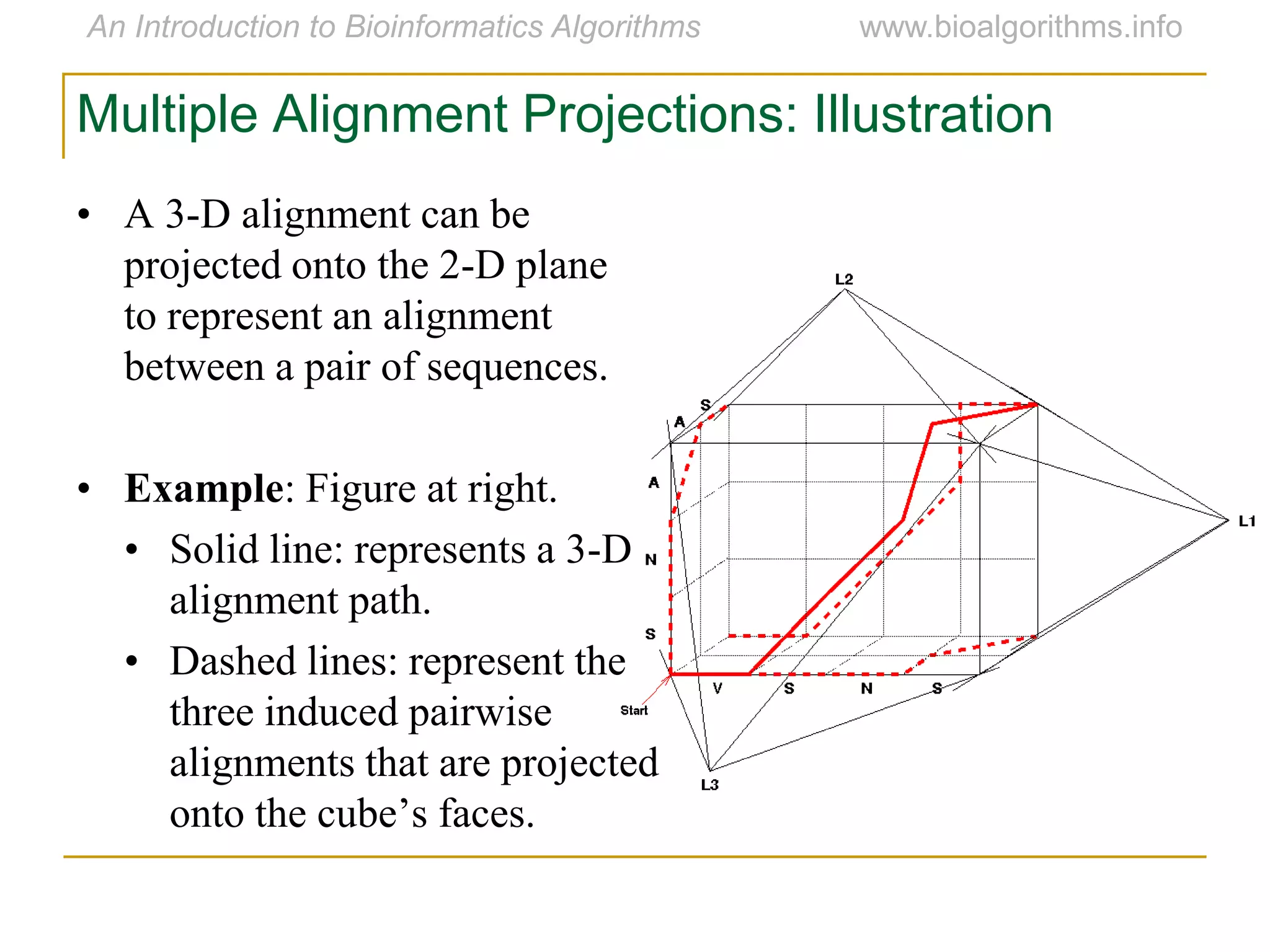 Multiple Alignment Projections: Illustration
• A 3-D alignment can be
projected onto the 2-D plane
to represent an alignment
between a pair of sequences.
• Example: Figure at right.
• Solid line: represents a 3-D
alignment path.
• Dashed lines: represent the
three induced pairwise
alignments that are projected
onto the cube‟s faces.
 