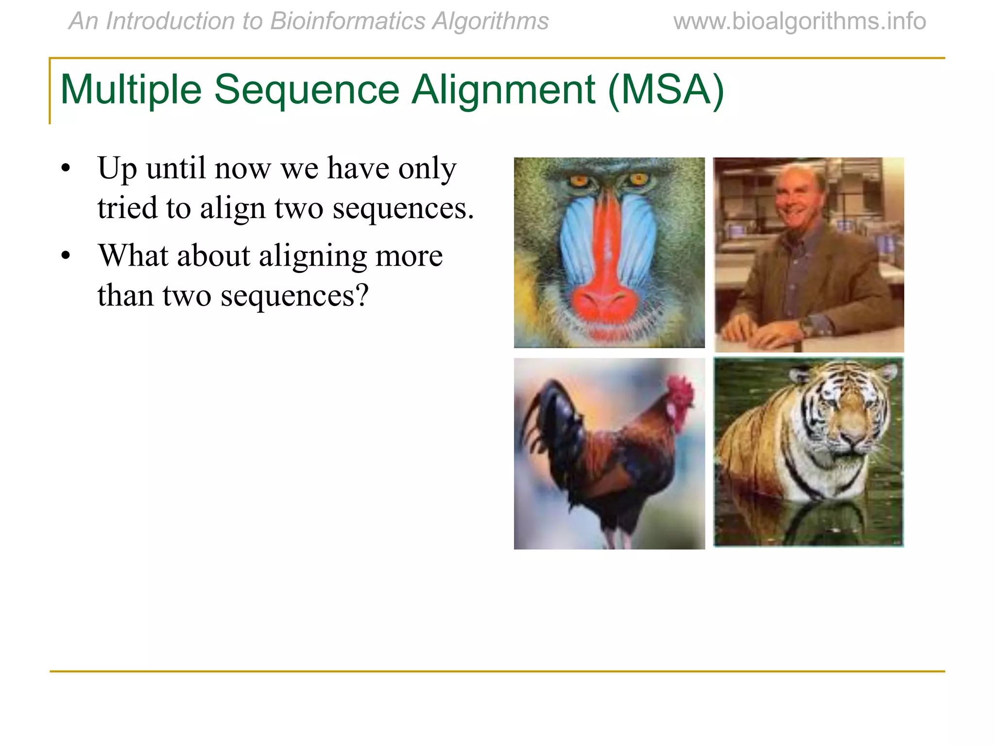Multiple Sequence Alignment (MSA)
• Up until now we have only
tried to align two sequences.
• What about aligning more
than two sequences?
 
