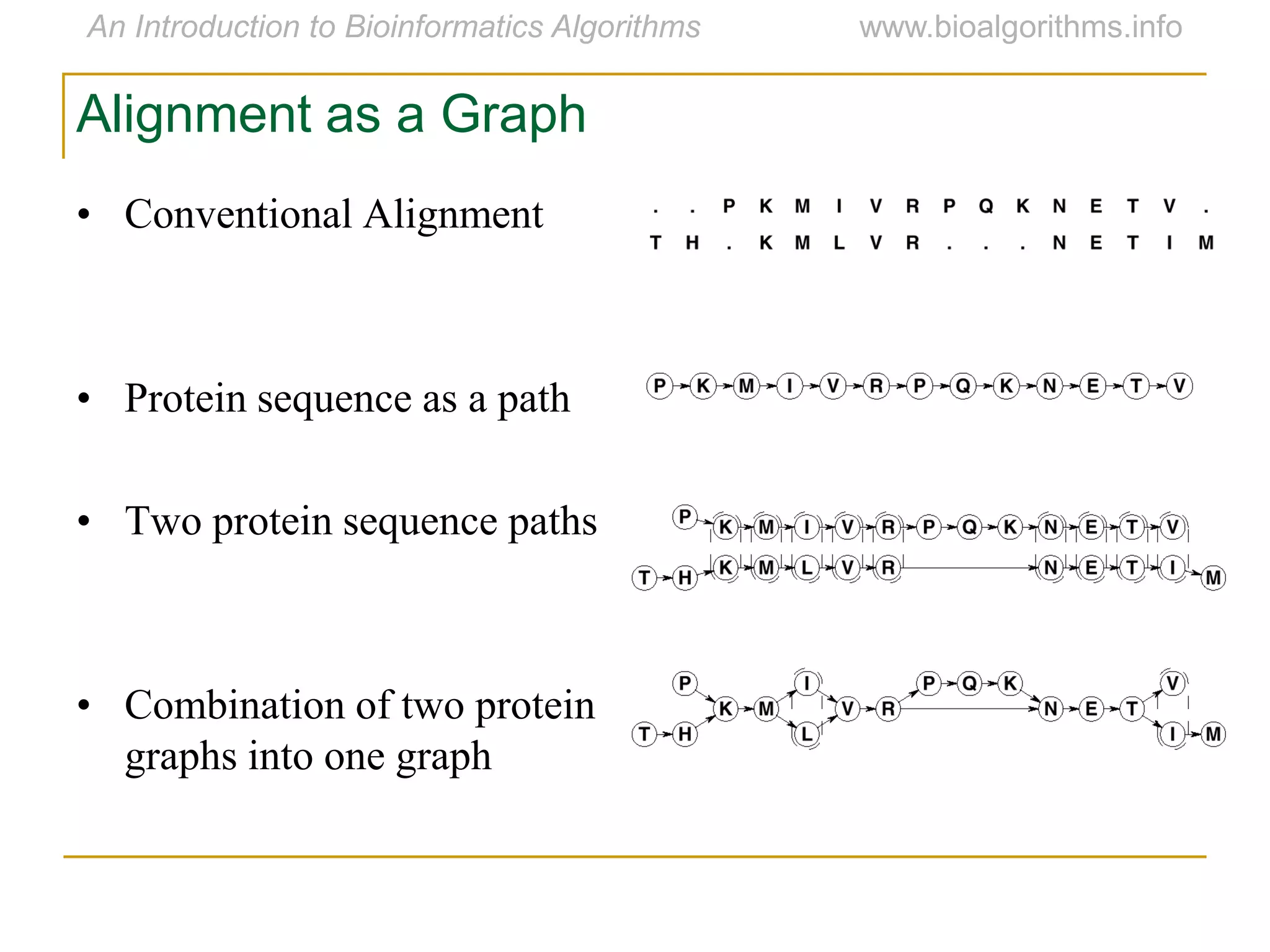 Alignment as a Graph
• Conventional Alignment
• Protein sequence as a path
• Two protein sequence paths
• Combination of two protein
graphs into one graph
 
