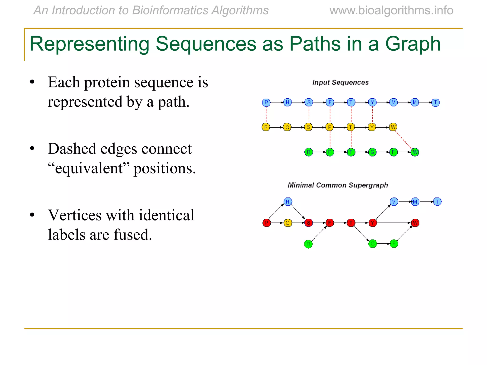 Representing Sequences as Paths in a Graph
• Each protein sequence is
represented by a path.
• Dashed edges connect
“equivalent” positions.
• Vertices with identical
labels are fused.
 
