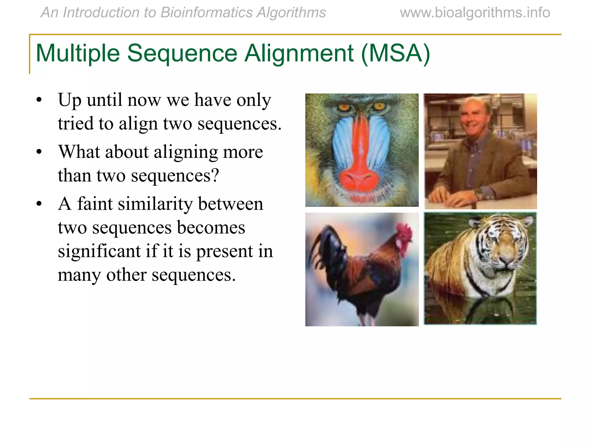 Multiple Sequence Alignment (MSA)
• Up until now we have only
tried to align two sequences.
• What about aligning more
than two sequences?
• A faint similarity between
two sequences becomes
significant if it is present in
many other sequences.
 