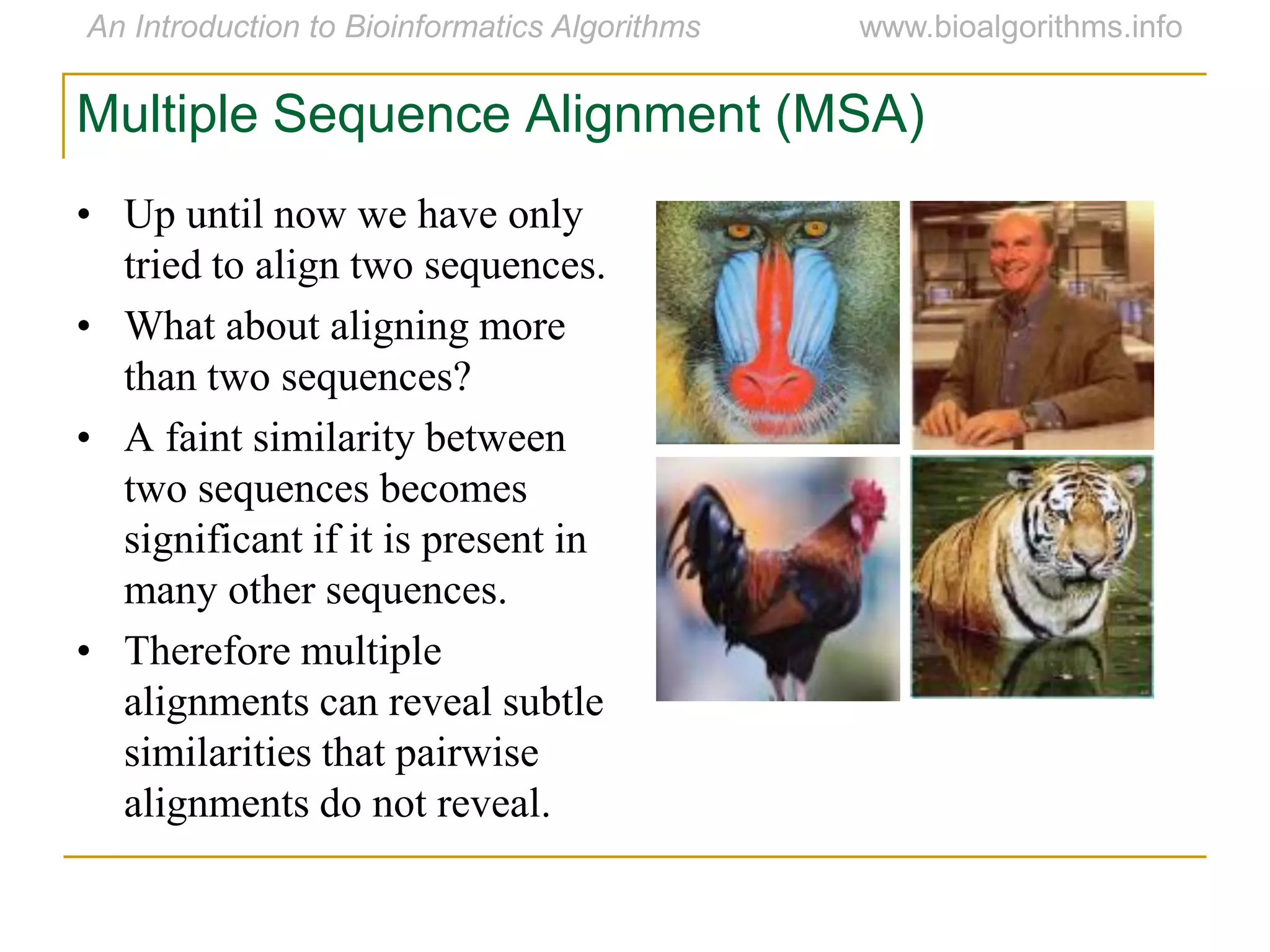 Multiple Sequence Alignment (MSA)
• Up until now we have only
tried to align two sequences.
• What about aligning more
than two sequences?
• A faint similarity between
two sequences becomes
significant if it is present in
many other sequences.
• Therefore multiple
alignments can reveal subtle
similarities that pairwise
alignments do not reveal.
 