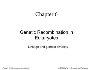 Chapter 6: Eukaryote recombination © 2002 by W. H. Freeman and Company
Chapter 6
Genetic Recombination in
Eukaryotes
Linkage and genetic diversity
 