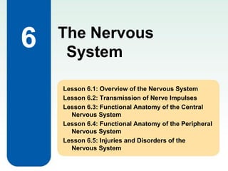 6
Lesson 6.1: Overview of the Nervous System
Lesson 6.2: Transmission of Nerve Impulses
Lesson 6.3: Functional Anatomy of the Central
Nervous System
Lesson 6.4: Functional Anatomy of the Peripheral
Nervous System
Lesson 6.5: Injuries and Disorders of the
Nervous System
The Nervous
System
 