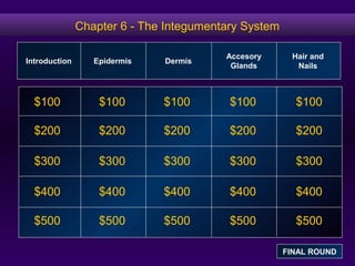 Chapter 6 - The Integumentary System
$100
$200
$300
$400
$500
$100 $100$100 $100
$200 $200 $200 $200
$300 $300 $300 $300
$400 $400 $400 $400
$500 $500 $500 $500
Introduction Epidermis Dermis
Accesory
Glands
Hair and
Nails
FINAL ROUND
 