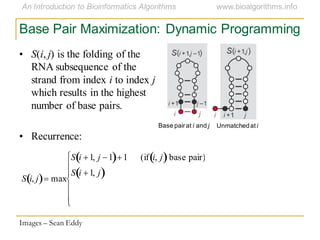Base Pair Maximization: Dynamic Programming
Base pairat i and j Unmatchedat i
Images – Sean Eddy
S i, j max
S i 1, j 1 1 (if i, j base pair)
S i 1, j
• S(i, j) is the folding of the
RNA subsequence of the
strand from index i to index j
which results in the highest
number of base pairs.
• Recurrence:
 