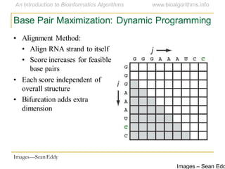 Images – Sean Edd
Base Pair Maximization: Dynamic Programming
• Alignment Method:
• Align RNA strand to itself
• Score increases for feasible
base pairs
• Each score independent of
overall structure
• Bifurcation adds extra
dimension
Images—Sean Eddy
 