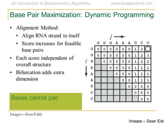 Images – Sean Edd
Base Pair Maximization: Dynamic Programming
• Alignment Method:
• Align RNA strand to itself
• Score increases for feasible
base pairs
• Each score independent of
overall structure
• Bifurcation adds extra
dimension
Bases cannot pair
Images—Sean Eddy
 