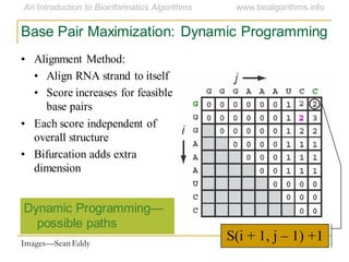 Images—Sean Eddy
S(i + 1, j – 1) +1
Base Pair Maximization: Dynamic Programming
• Alignment Method:
• Align RNA strand to itself
• Score increases for feasible
base pairs
• Each score independent of
overall structure
• Bifurcation adds extra
dimension
Dynamic Programming—
possible paths
 