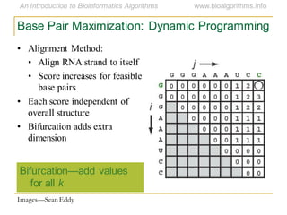 Base Pair Maximization: Dynamic Programming
Bifurcation—add values
for all k
Images—Sean Eddy
• Alignment Method:
• Align RNA strand to itself
• Score increases for feasible
base pairs
• Each score independent of
overall structure
• Bifurcation adds extra
dimension
 