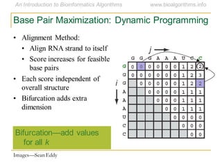 Base Pair Maximization: Dynamic Programming
Bifurcation—add values
for all k
Images—Sean Eddy
• Alignment Method:
• Align RNA strand to itself
• Score increases for feasible
base pairs
• Each score independent of
overall structure
• Bifurcation adds extra
dimension
 