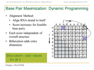 Base Pair Maximization: Dynamic Programming
Bifurcation—add values
for all k
Images—Sean Eddy
• Alignment Method:
• Align RNA strand to itself
• Score increases for feasible
base pairs
• Each score independent of
overall structure
• Bifurcation adds extra
dimension
 