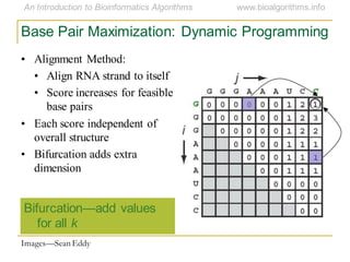 Base Pair Maximization: Dynamic Programming
Bifurcation—add values
for all k
Images—Sean Eddy
• Alignment Method:
• Align RNA strand to itself
• Score increases for feasible
base pairs
• Each score independent of
overall structure
• Bifurcation adds extra
dimension
 