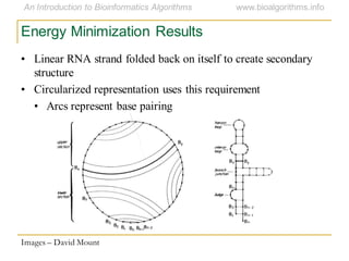 Energy Minimization Results
• Linear RNA strand folded back on itself to create secondary
structure
• Circularized representation uses this requirement
• Arcs represent base pairing
Images – David Mount
 