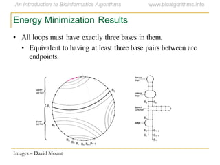 Energy Minimization Results
• All loops must have exactly three bases in them.
• Equivalent to having at least three base pairs between arc
endpoints.
Images – David Mount
 