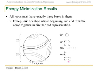 Energy Minimization Results
• All loops must have exactly three bases in them.
• Exception: Location where beginning and end of RNA
come together in circularized representation.
Images – David Mount
 