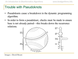 Trouble with Pseudoknots
• Pseudoknots cause a breakdown in the dynamic programming
algorithm.
• In order to form a pseudoknot, checks must be made to ensure
base is not already paired—this breaks down the recurrence
relations.
Images – David Mount
 