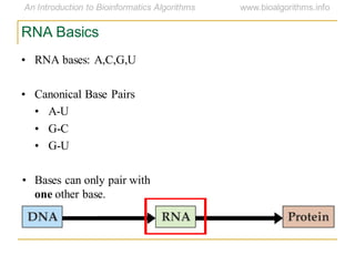RNA Basics
• RNA bases: A,C,G,U
• Canonical Base Pairs
• A-U
• G-C
• G-U
• Bases can only pair with
one other base.
 