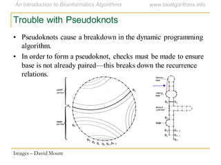 Trouble with Pseudoknots
• Pseudoknots cause a breakdown in the dynamic programming
algorithm.
• In order to form a pseudoknot, checks must be made to ensure
base is not already paired—this breaks down the recurrence
relations.
Images – David Mount
 