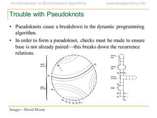 Trouble with Pseudoknots
• Pseudoknots cause a breakdown in the dynamic programming
algorithm.
• In order to form a pseudoknot, checks must be made to ensure
base is not already paired—this breaks down the recurrence
relations.
Images – David Mount
 