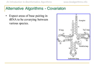 Alternative Algorithms - Covariaton
• Expect areas of base pairing in
tRNA to be covarying between
various species.
 