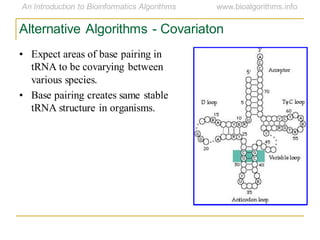 Alternative Algorithms - Covariaton
• Expect areas of base pairing in
tRNA to be covarying between
various species.
• Base pairing creates same stable
tRNA structure in organisms.
 