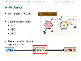 RNA Basics
• RNA bases: A,C,G,U
• Canonical Base Pairs
• A-U
• G-C
• G-U
• Bases can only pair with
one other base.
2 Hydrogen Bonds
 