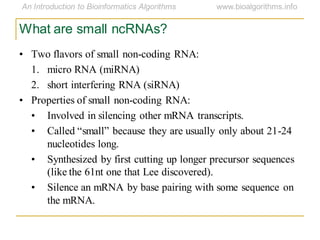 What are small ncRNAs?
• Two flavors of small non-coding RNA:
1. micro RNA (miRNA)
2. short interfering RNA (siRNA)
• Properties of small non-coding RNA:
• Involved in silencing other mRNA transcripts.
• Called ―small‖ because they are usually only about 21-24
nucleotides long.
• Synthesized by first cutting up longer precursor sequences
(like the 61nt one that Lee discovered).
• Silence an mRNA by base pairing with some sequence on
the mRNA.
 