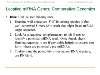 Locating miRNA Genes: Comparative Genomics
• Idea: Find the seed binding sites.
1. Examine well-conserved 3' UTRs among species to find
well-conserved 8-mers (A + seed) that might be an miRNA
target sequence.
2. Look for a sequence complementary to this 8-mer to
identify a potential miRNA seed. Once found, check
flanking sequence to see if any stable hairpin structures can
form—these are potentially pre-miRNAs.
3. To determine the possibility of secondary RNA structure,
use RNAfold.
 