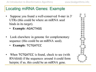 Locating miRNA Genes: Example
• Suppose you found a well-conserved 8-mer in 3'
UTRs (this could be where an miRNA seed
binds in its target).
• Example: AGACTAGG
• Look elsewhere in genome for complementary
sequence (this could be an miRNA seed).
• Example: TCTGATCC
• When TCTGATCC is found, check to see (with
RNAfold) if the sequences around it could form
hairpin; if so, this could be an miRNA gene.
 