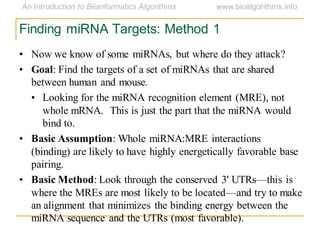 Finding miRNA Targets: Method 1
• Now we know of some miRNAs, but where do they attack?
• Goal: Find the targets of a set of miRNAs that are shared
between human and mouse.
• Looking for the miRNA recognition element (MRE), not
whole mRNA. This is just the part that the miRNA would
bind to.
• Basic Assumption: Whole miRNA:MRE interactions
(binding) are likely to have highly energetically favorable base
pairing.
• Basic Method: Look through the conserved 3' UTRs—this is
where the MREs are most likely to be located—and try to make
an alignment that minimizes the binding energy between the
miRNA sequence and the UTRs (most favorable).
 