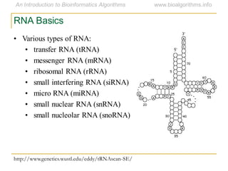 RNA Basics
http://www.genetics.wustl.edu/eddy/tRNAscan-SE/
• Various types of RNA:
• transfer RNA (tRNA)
• messenger RNA (mRNA)
• ribosomal RNA (rRNA)
• small interfering RNA (siRNA)
• micro RNA (miRNA)
• small nuclear RNA (snRNA)
• small nucleolar RNA (snoRNA)
 