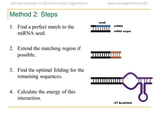 Method 2: Steps
1. Find a perfect match to the
miRNA seed.
2. Extend the matching region if
possible.
3. Find the optimal folding for the
remaining sequences.
4. Calculate the energy of this
interaction.
 