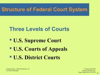 © Prentice Hall 2008
Pearson Education, Inc
Upper Saddle River, NJ 07458
Criminal Justice: A Brief Introduction, 7E
by Frank Schmalleger
30
Three Levels of Courts
 U.S. Supreme Court
 U.S. Courts of Appeals
 U.S. District Courts
Structure of Federal Court System
 