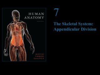 © 2012 Pearson Education, Inc.
7
The Skeletal System:
Appendicular Division
PowerPoint®
Lecture Presentations prepared by
Steven Bassett
Southeast Community College
Lincoln, Nebraska
 