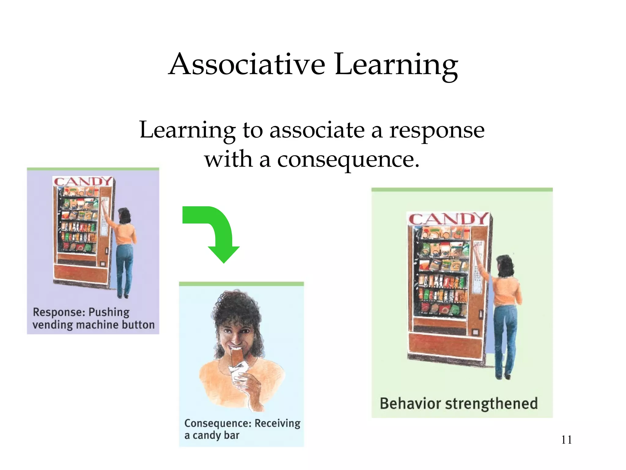 11
Associative Learning
Learning to associate a response
with a consequence.
 