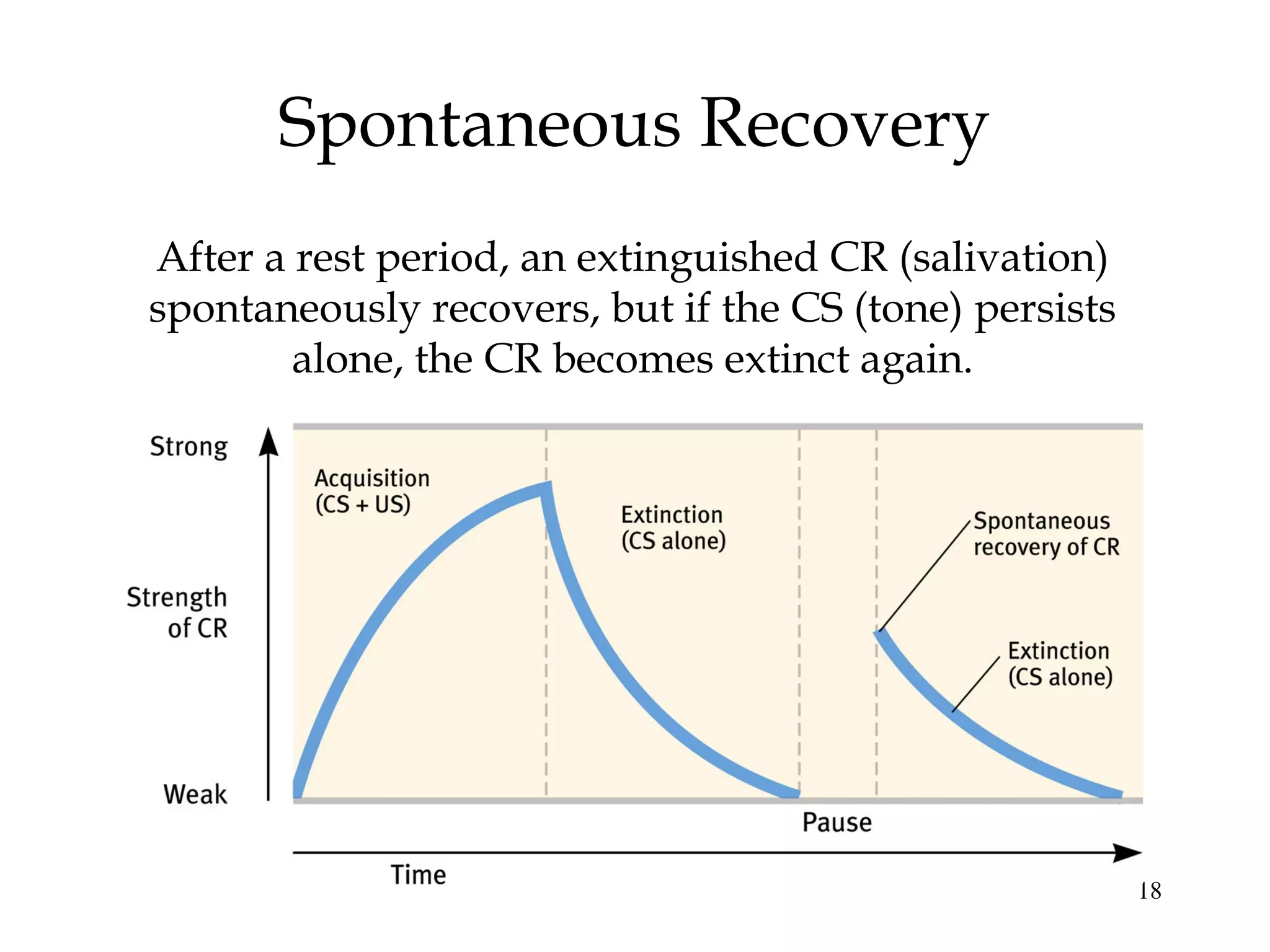 18
Spontaneous Recovery
After a rest period, an extinguished CR (salivation)
spontaneously recovers, but if the CS (tone) persists
alone, the CR becomes extinct again.
 