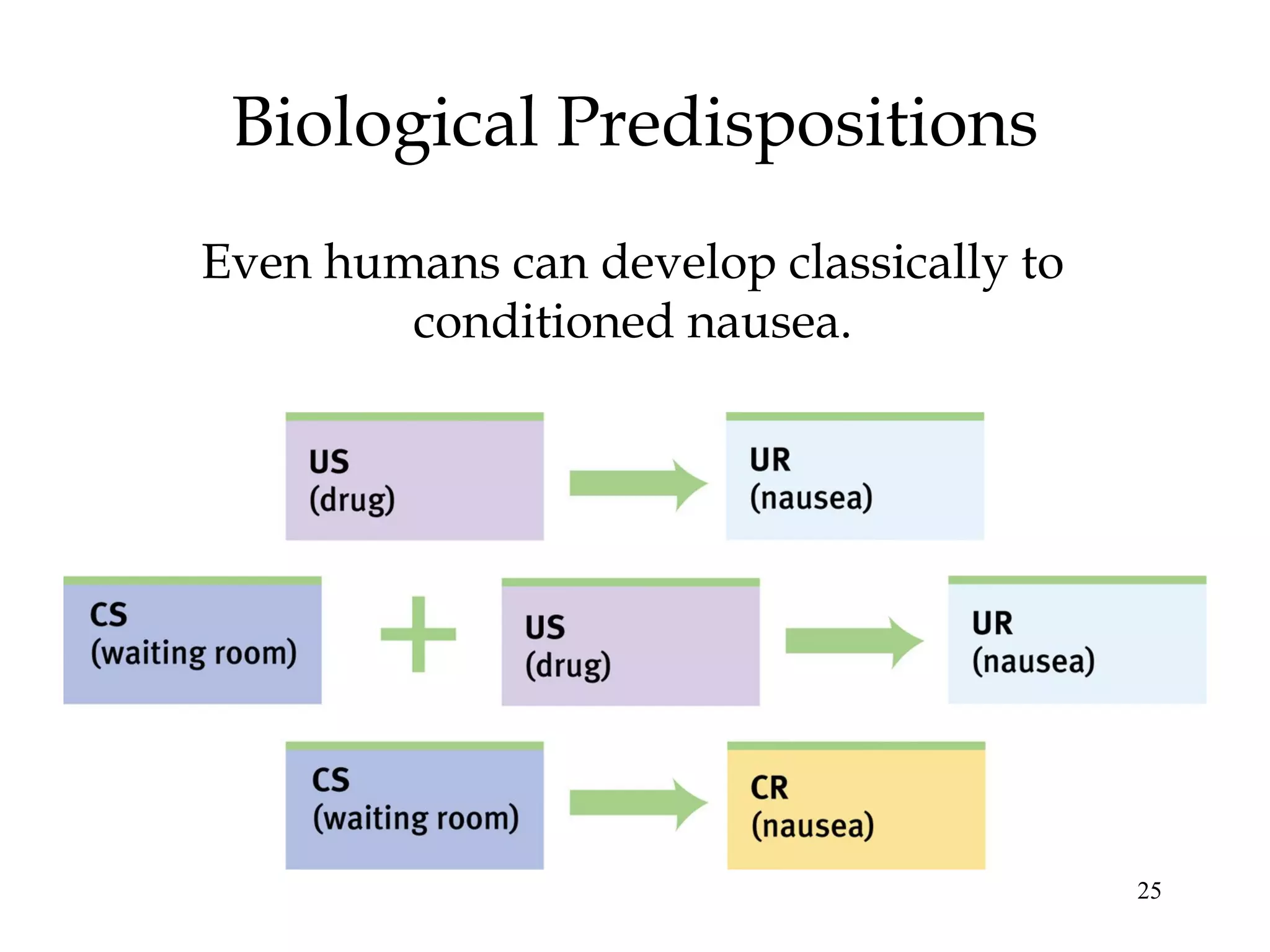 25
Biological Predispositions
Even humans can develop classically to
conditioned nausea.
 