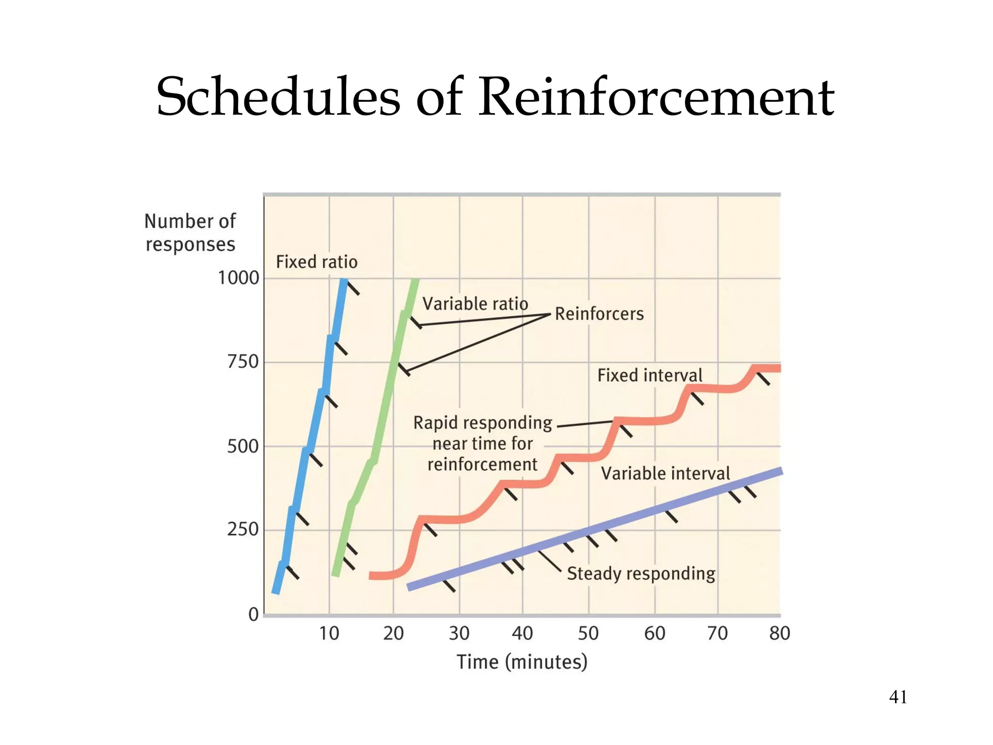 41
Schedules of Reinforcement
 